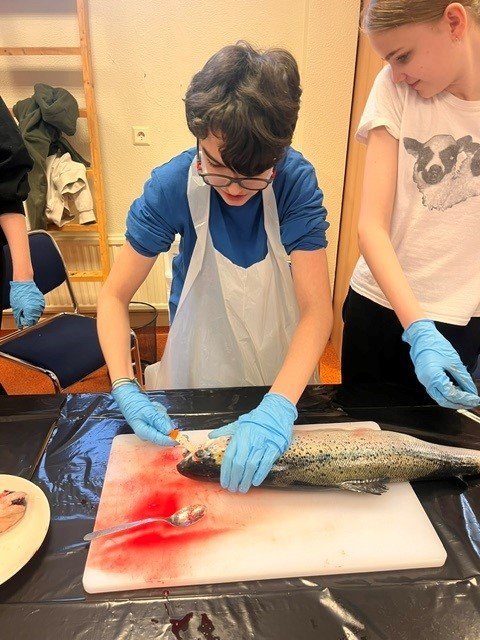 Laxakrufning í unglingadeild