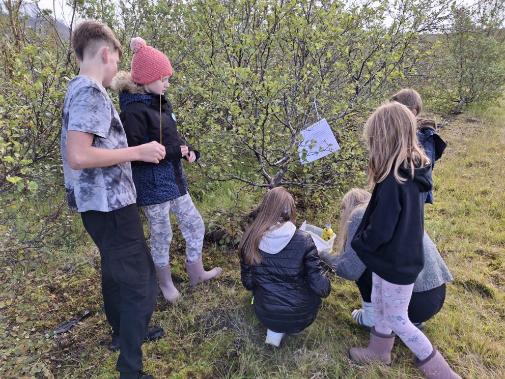 Starfsáætlun skólaársins 2024-2025