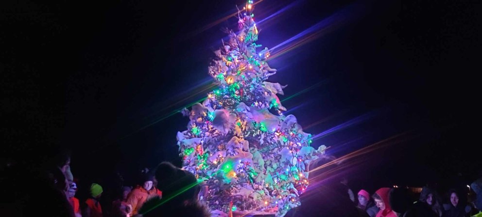 Tendrað á jólatrénu í dagrenningu