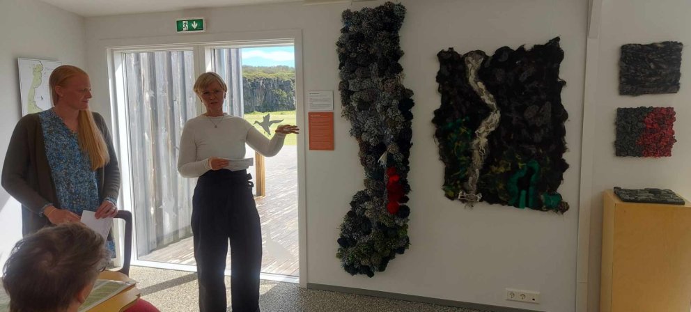 Eldur, ís og mjúkur mosi í Gljúfrastofu