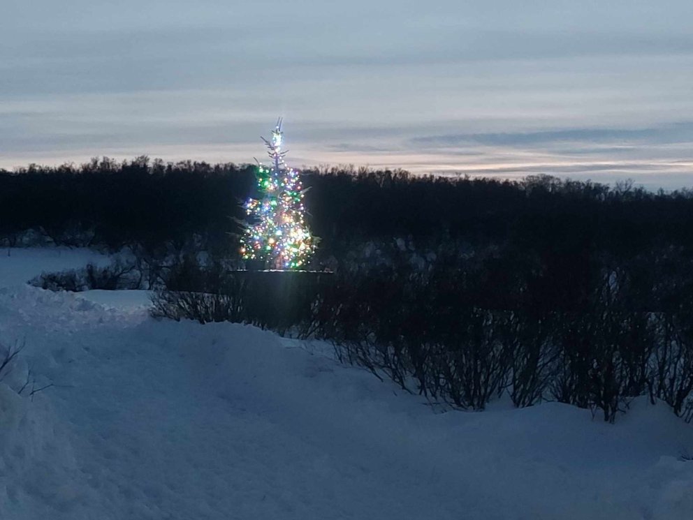 Tendrað á jólatrénu