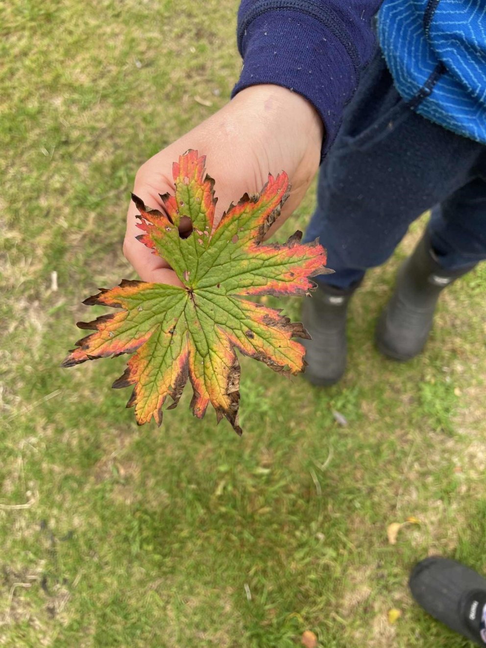 Dagur íslenskrar náttúru - vettvangsferð