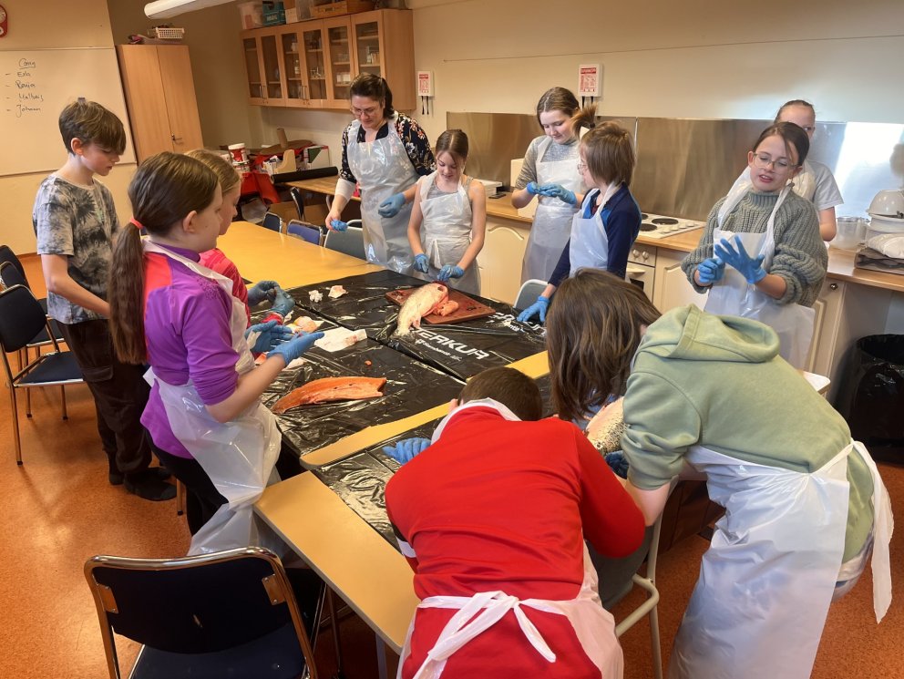 Laxakrufning - framhald í miðdeild