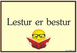 Góður árangur í Lesfimi