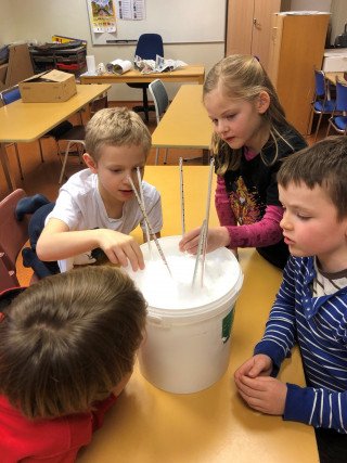 Ví­sindi í­ yngri deild