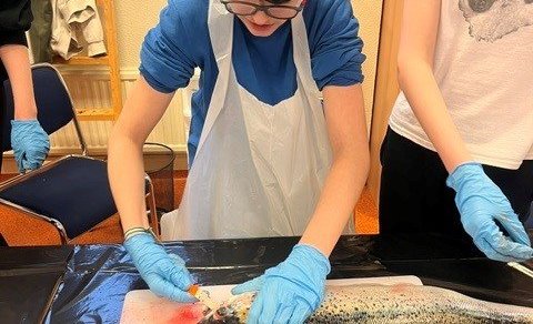 Laxakrufning í unglingadeild