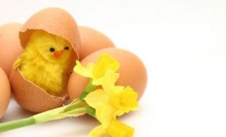 Páskafrí­ og skólabyrjun eftir páska - Easter hollidays in April