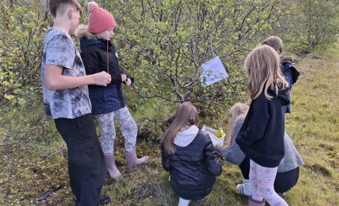 Starfsáætlun skólaársins 2024-2025