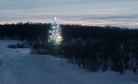 Tendrað á jólatrénu