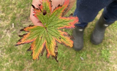 Dagur íslenskrar náttúru - vettvangsferð