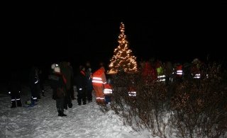 Kveikt á jólatrénu