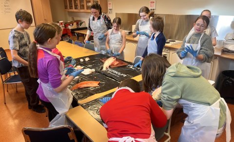 Laxakrufning - framhald í miðdeild