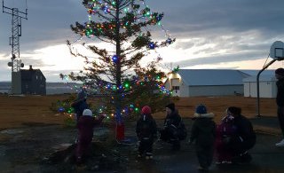 Leikskólabörnin og jólatréð á Kópaskeri